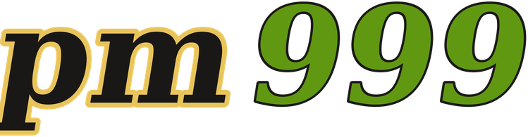 pm999 logo